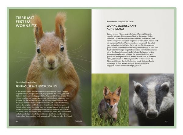 Produktbild: Die Botschaft der Wildtiere