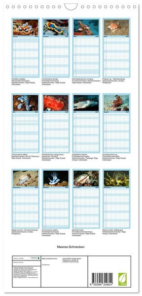 Produktbild: Familienplaner 2027 - Meeres-Schnecken mit 5 Spalten (Wandkalender, 21 x 45 cm) CALVENDO