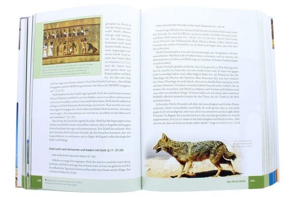 Produktbild: Das illustrierte Handbuch zur Bibel