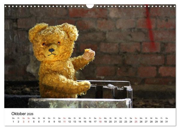 Produktbild: Teddys...jeder liebt sie (Wandkalender 2026 DIN A3 quer), CALVENDO Monatskalender