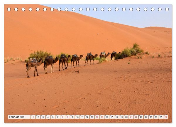 Produktbild: MAROKKO, ein faszinierendes K&ouml;nigreich (Tischkalender 2026 DIN A5 quer), CALVENDO Monatskalender