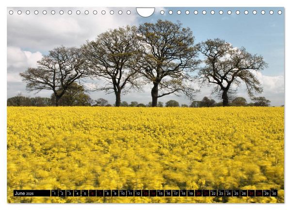 Produktbild: Welsh Landscapes (Wall Calendar 2026 DIN A4 landscape), CALVENDO 12 Month Wall Calendar