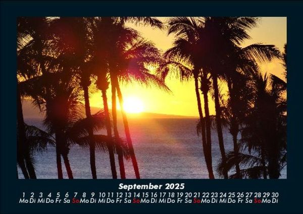 Produktbild: Palmentraum 2025 Fotokalender DIN A5