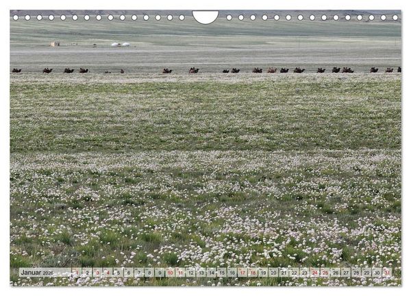Produktbild: Nord-Gobi (Wandkalender 2026 DIN A4 quer), CALVENDO Monatskalender