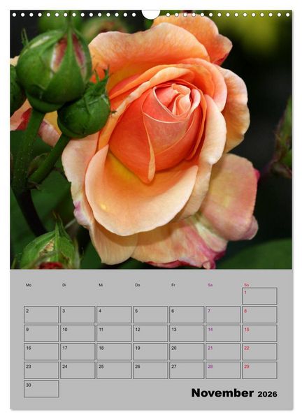 Produktbild: Rosen - Symbol der Liebe und Verehrung (Wandkalender 2026 DIN A3 hoch), CALVENDO Monatskalender