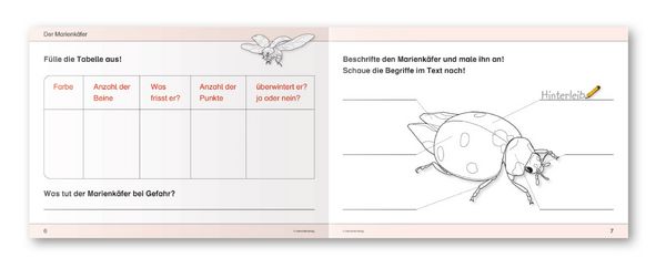 Produktbild: Ich kenne Insekten und Spinnen - Sch&uuml;lerarbeitsheft f&uuml;r die 2. bis 4. Klasse