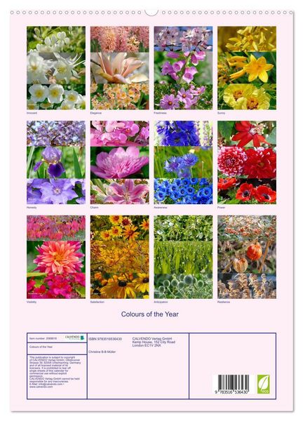 Produktbild: Colours of the Year (High Quality Premium Wall Calendar 2026 DIN A2 portrait),CALVENDO 12 Month Wall Calendar