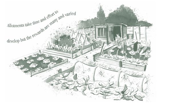 Produktbild: Home-Grown Harvest