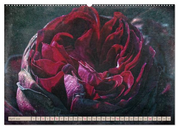 Produktbild: Rosenduft Shabby Chic Style (Wandkalender 2026 DIN A2 quer), CALVENDO Monatskalender