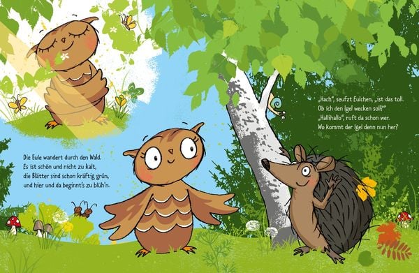 Die kleine Eule und der große Streit