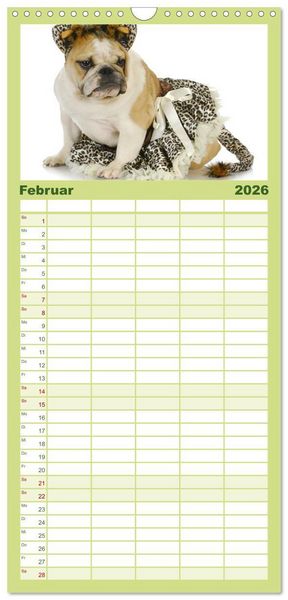 Produktbild: Familienplaner 2026 - English Bulldog XXL Models mit 5 Spalten (Wandkalender, 21 x 45 cm) CALVENDO