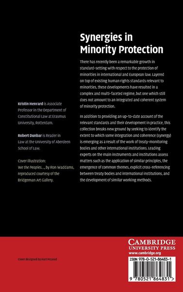 Produktbild: Synergies in Minority Protection