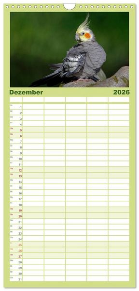 Produktbild: Familienplaner 2026 - Nymphensittiche mit 5 Spalten (Wandkalender, 21 x 45 cm) CALVENDO
