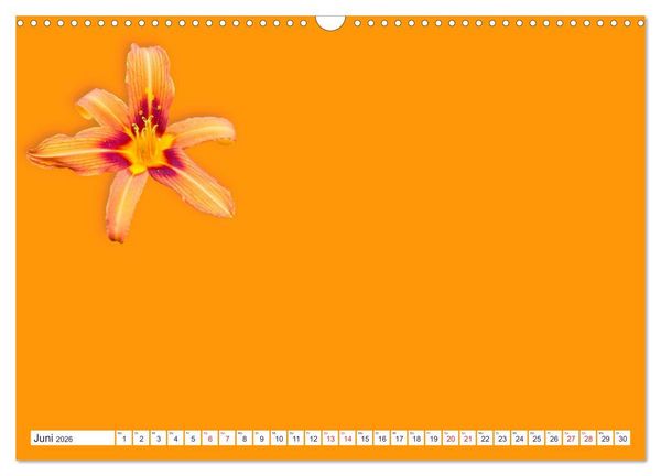 Produktbild: DIY POESIE - BASTELKALENDER (Wandkalender 2026 DIN A3 quer), CALVENDO Monatskalender