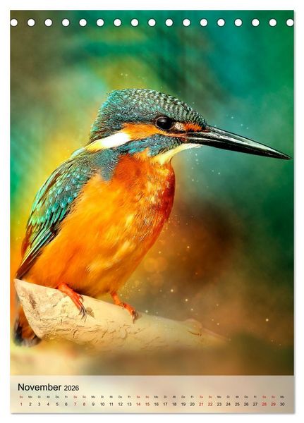Produktbild: Schillernder Eisvogel (Tischkalender 2026 DIN A5 hoch), CALVENDO Monatskalender