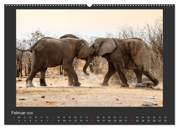 Produktbild: Facetten Namibias (hochwertiger Premium Wandkalender 2026 DIN A2 quer), Kunstdruck in Hochglanz