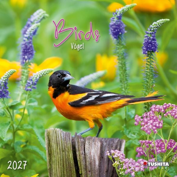Produktbild: Birds 2027