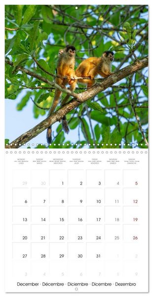 Produktbild: Costa Rica wild and peaceful (Wall Calendar 2027 12 &times; 12 Inch) CALVENDO 12 Month Wall Calendar