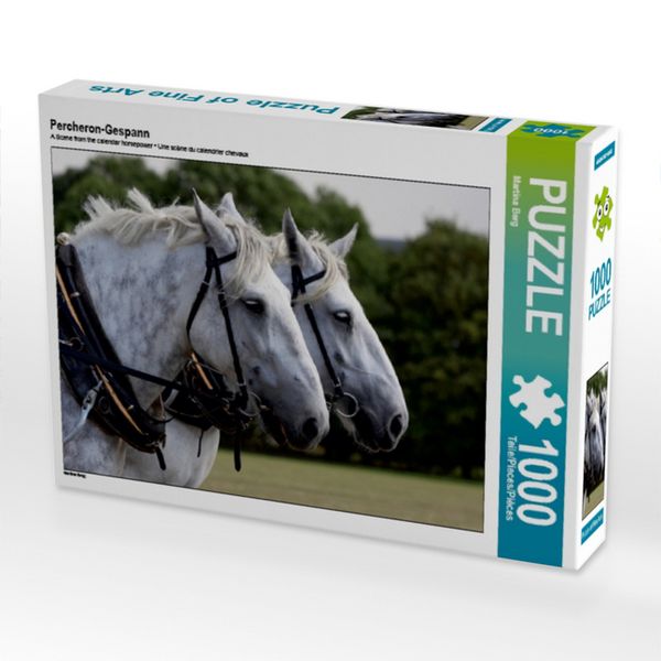 Produktbild: CALVENDO Puzzle Percheron-Gespann | 1000 Teile Lege-Gr&ouml;&szlig;e 64x48cm Foto-Puzzle f&uuml;r gl&uuml;ckliche Stunden