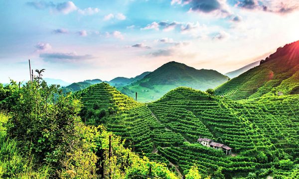 Produktbild: Prosecco Superiore