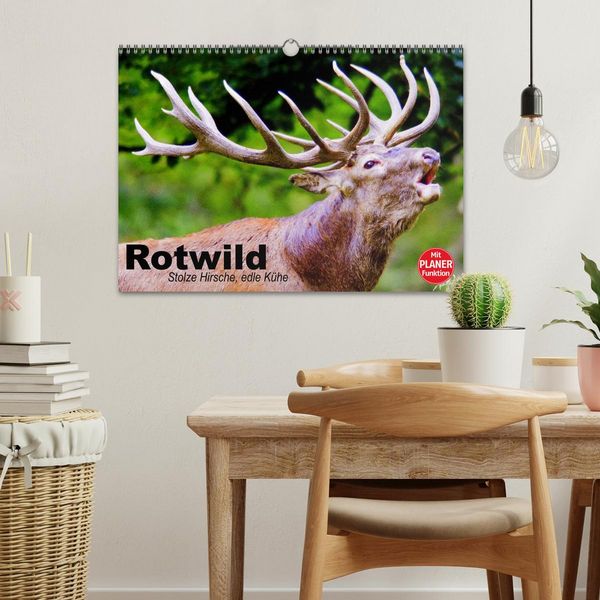 Produktbild: Rotwild. Edle Hirsche, stolze K&uuml;he (Wandkalender 2026 DIN A3 quer), CALVENDO Monatskalender