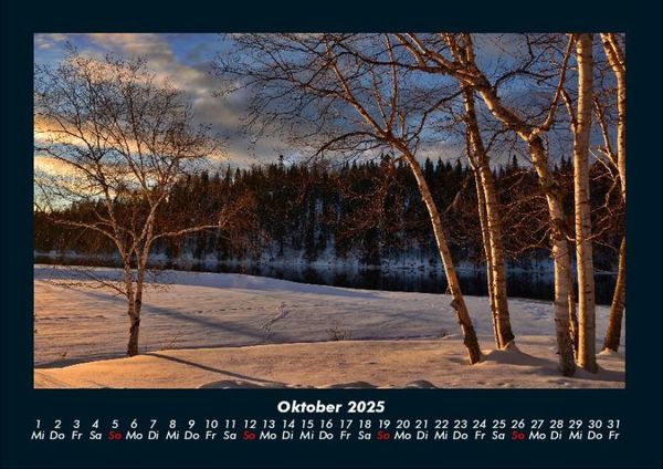 Produktbild: B&auml;ume 2025 Fotokalender DIN A4
