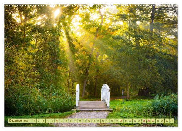 Produktbild: Herbst im Dieskauer Park (Wandkalender 2026 DIN A2 quer), CALVENDO Monatskalender