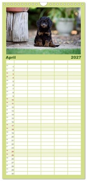 Produktbild: Familienplaner 2027 - Pudel mit 5 Spalten (Wandkalender, 21 x 45 cm) CALVENDO
