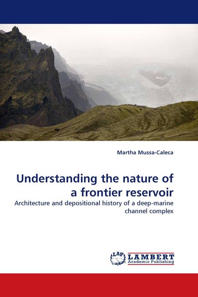 Produktbild: Understanding the nature of a frontier reservoir