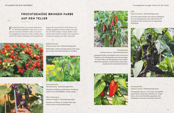 Produktbild: Mein Hochbeet &ndash; 33 Pflanzvorschl&auml;ge