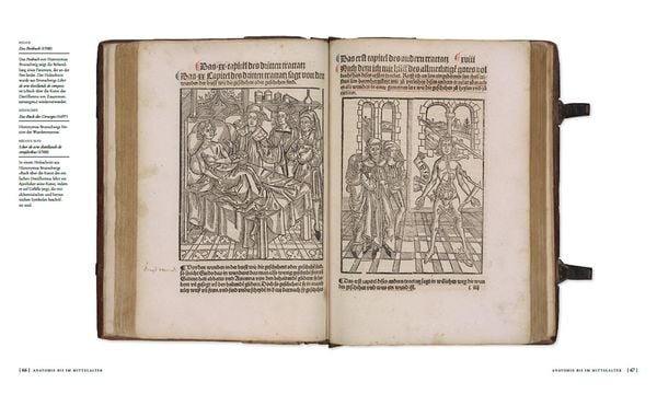Produktbild: Die Geschichte der Anatomie