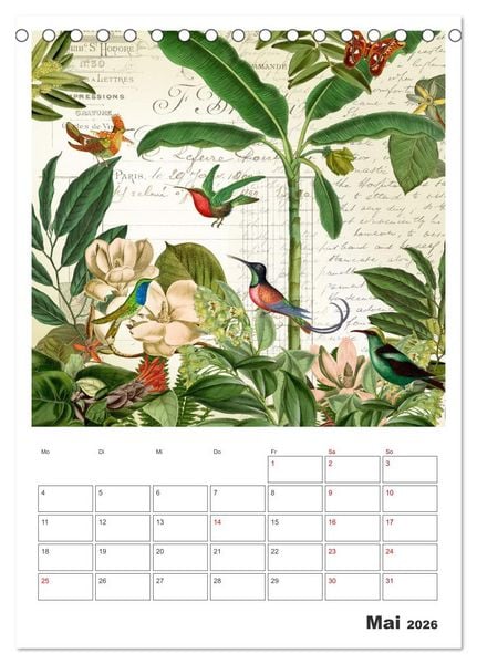 Produktbild: Das Paradies der Kolibris (Tischkalender 2026 DIN A5 hoch), CALVENDO Monatskalender