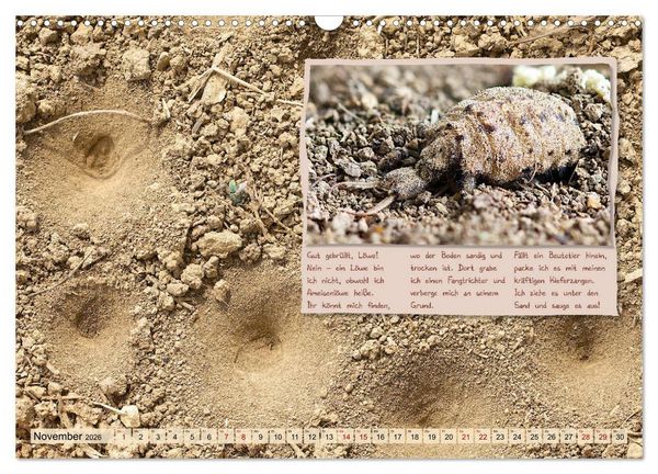 Produktbild: GEOclick Lernkalender: Insekten (Wandkalender 2026 DIN A3 quer), CALVENDO Monatskalender