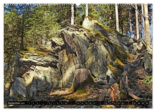 Produktbild: Naturwunder Wald (hochwertiger Premium Wandkalender 2027 DIN A2 quer), Kunstdruck in Hochglanz