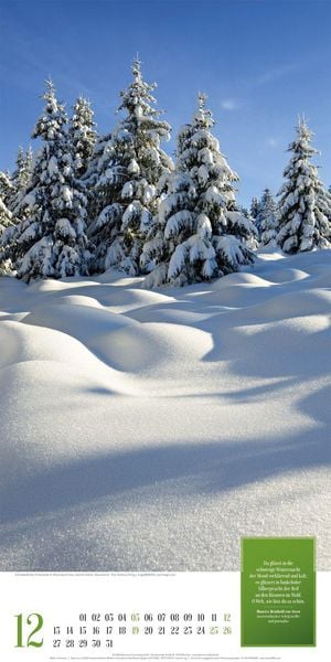 Produktbild: Mythos Wald Literatur-Kalender 2027