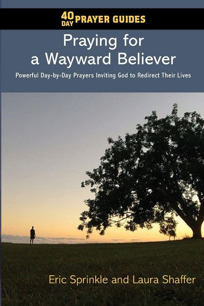 Produktbild: 40 Day Prayer Guides - Praying for a Wayward Believer