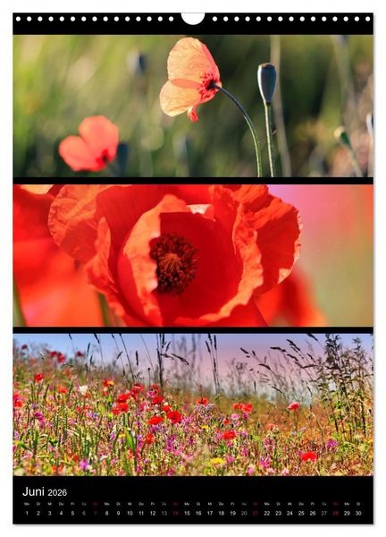 Produktbild: Bezaubernde Farben der Natur (Wandkalender 2026 DIN A3 hoch), CALVENDO Monatskalender