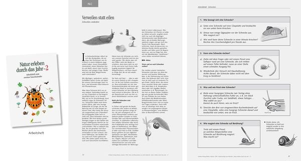 Produktbild: Natur erleben durch das Jahr - 2