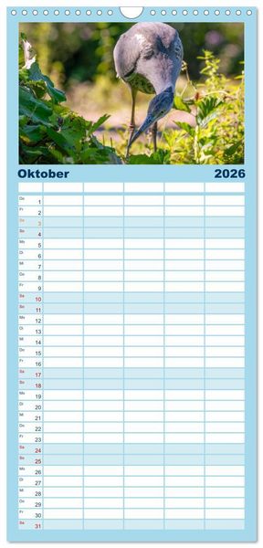 Produktbild: Familienplaner 2026 - Unsere Vogelvielfalt: Ein Schatz zum Entdecken und Sch&uuml;tzen mit 5 Spalten (Wandkalender, 21 x 45 cm) CALVENDO