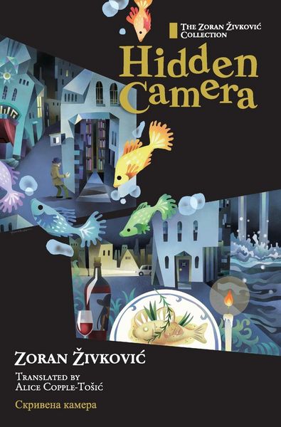 Produktbild: Hidden Camera