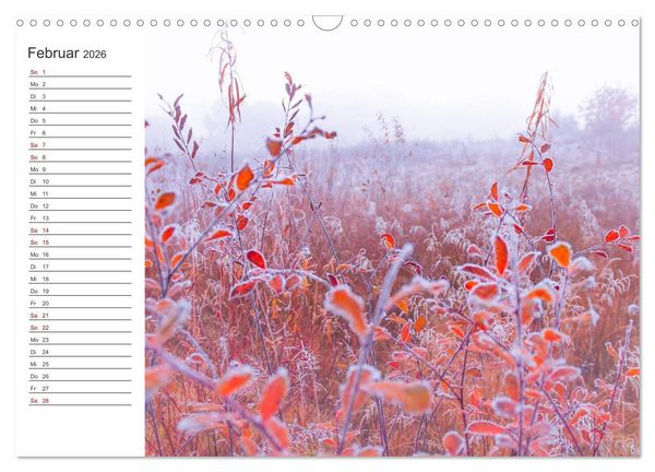 Produktbild: Worpswede - Natursch&ouml;nheiten im Teufelsmoor (Wandkalender 2026 DIN A3 quer), CALVENDO Monatskalender