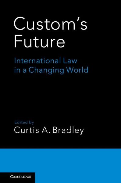 Produktbild: Custom's Future