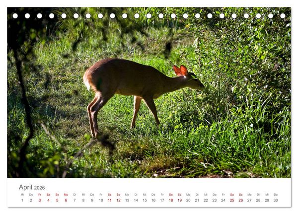 Produktbild: Faszinierendes Argentinien (Tischkalender 2026 DIN A5 quer), CALVENDO Monatskalender