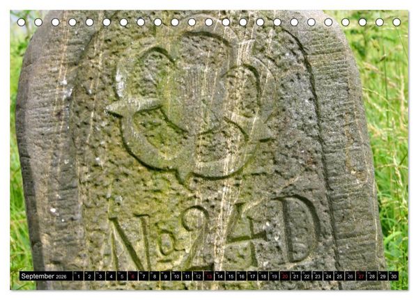 Produktbild: Lippische Rosen (Tischkalender 2026 DIN A5 quer), CALVENDO Monatskalender
