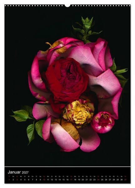 Produktbild: Blumen bei Nacht (hochwertiger Premium Wandkalender 2027 DIN A2 hoch), Kunstdruck in Hochglanz