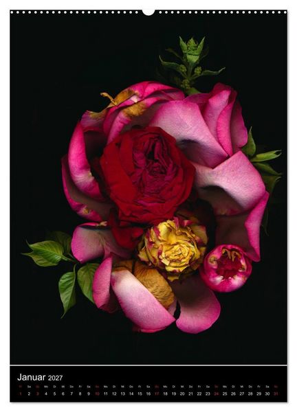 Produktbild: Blumen bei Nacht (Wandkalender 2027 DIN A2 hoch), CALVENDO Monatskalender