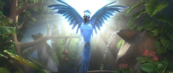 Produktbild: Rio