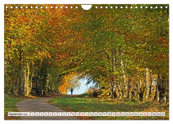 Produktbild: Die Eifel und das Hohe Venn (Wandkalender 2026 DIN A4 quer), CALVENDO Monatskalender
