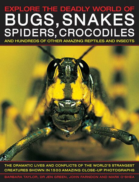 Produktbild: Explore the Deadly World of Bugs, Snakes, Spiders & Crocodiles