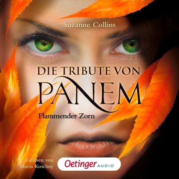 Flammender Zorn / Die Tribute von Panem Bd.3